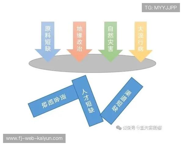 体育供应链平台推出协同预测服务,降低牛鞭效应影响 体育供应链平台推出协同预测服务,降低牛鞭效应影响